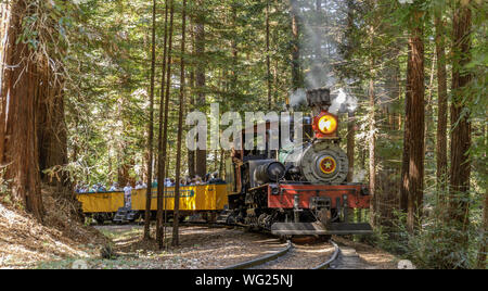 Felton, California - Agosto 31, 2019: Roaring Camp' Dixiana Shay treno a vapore attraversando Redwoods in Santa Cruz Mountains Foto Stock