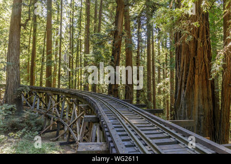 Treno a vapore della Ferrovia e traliccio ponte Redwoods Foto Stock