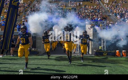 Agosto 31, 2019: California Golden Bears prende il campo durante il NCAA Football gioco tra UC Davis Aggies e il Cal porta alla California Memorial Stadium di Berkeley, in California. Chris Brown/CSM Foto Stock