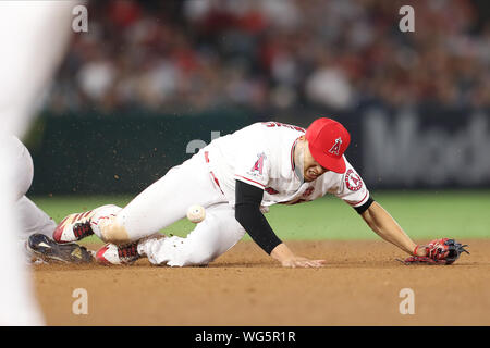 Anaheim, Stati Uniti d'America. 31 Agosto, 2019. Agosto 31, 2019: Los Angeles Angeli primo baseman Albert Pujols (5) ha una piccola collisione con Boston Sox rosso a sinistra fielder J.D. Credito: Cal Sport Media/Alamy Live News Foto Stock