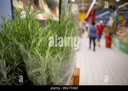 La profondità di campo di una immagine con rosmarino herb sulla frutta e verdura corsia in un negozio Foto Stock