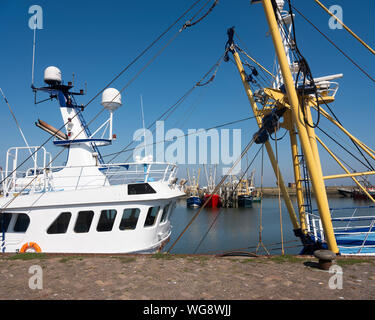 Barche da pesca nel porto di lauwersoog nel nord di Groningen nei Paesi Bassi Foto Stock