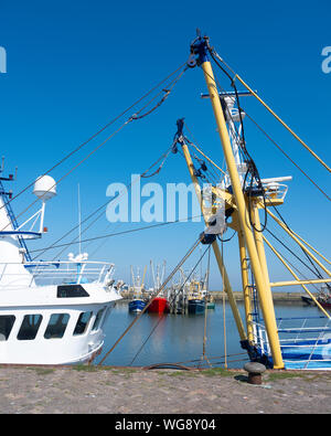 Barche da pesca nel porto di lauwersoog nel nord di Groningen nei Paesi Bassi Foto Stock