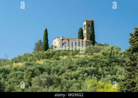 Paesaggio rurale da Buggiano Castello, storica cittadina vicino a Montecatini e Pistoia, Toscana, Italia, con alberi di olivo. Foto Stock