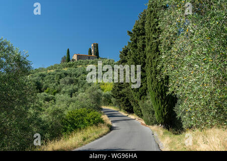 Paesaggio rurale da Buggiano Castello, storica cittadina vicino a Montecatini e Pistoia, Toscana, Italia, con alberi di olivo. Foto Stock