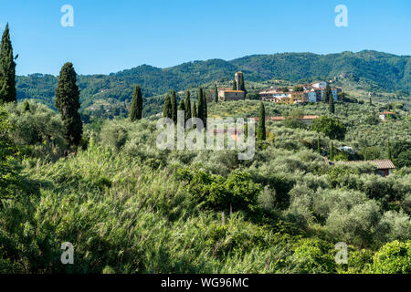 Paesaggio rurale da Buggiano Castello, storica cittadina vicino a Montecatini e Pistoia, Toscana, Italia, con alberi di olivo. Foto Stock