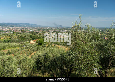 Paesaggio rurale da Buggiano Castello, storica cittadina nei pressi di Pescia, Pistoia, Toscana, Italia, con alberi di olivo. Foto Stock