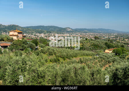 Paesaggio rurale da Buggiano Castello, storica cittadina nei pressi di Pescia, Pistoia, Toscana, Italia, con alberi di olivo. Foto Stock
