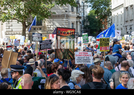 Londra, Inghilterra il 31 agosto 2019. Migliaia di manifestanti si radunano nel centro di Londra, protestando contro Boris Johnson per la decisione di sospendere il Parlamento in Foto Stock