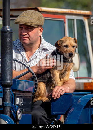 Uomo con cane sul trattore vintage Foto Stock
