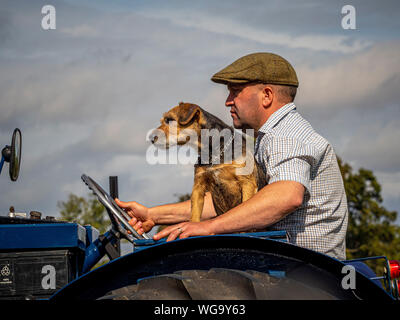 Uomo con cane sul trattore vintage Foto Stock