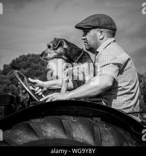 Uomo con cane sul trattore vintage Foto Stock