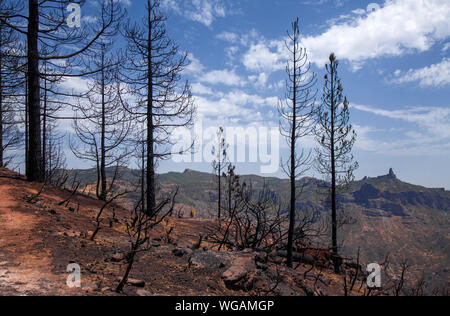 Gran Canaria dopo wildfire di agosto 2019, itinerario a piedi La Cruz de Tejeda - Artenara, Roque Nublo in lontananza Foto Stock