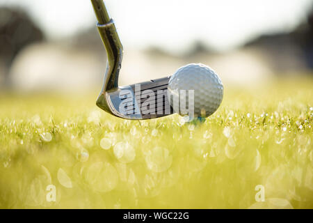 Golf club e la sfera sul raccordo a T nella parte anteriore del conducente Foto Stock