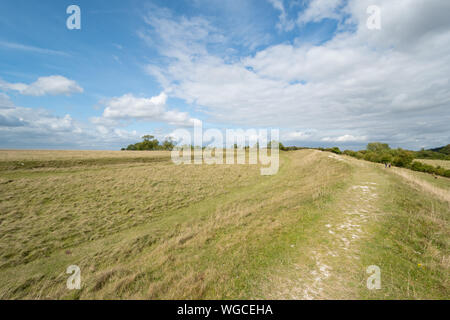 Vista di Figsbury Ring, un'età del ferro hill fort e enclosure del neolitico e un SSSI, nel Wiltshire, Inghilterra, Regno Unito Foto Stock