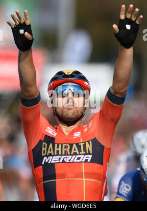 Erfurt, Germania. 01 Sep, 2019. Escursioni in bicicletta: UCI Europaserie - Germania Tour, fase 4, Eisenach - Erfurt (159, 50 km). L'Italiano Sonny Colbrelli da Team Bahrain-Merida il tifo per la sua vittoria di tappa. Credito: Bernd Thissen/dpa/Alamy Live News Foto Stock