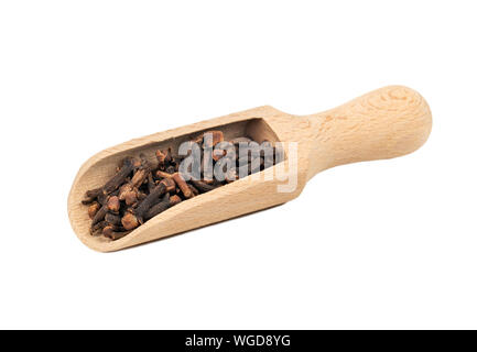 Chiodi di garofano a secco in un cucchiaio di legno su sfondo bianco Foto Stock