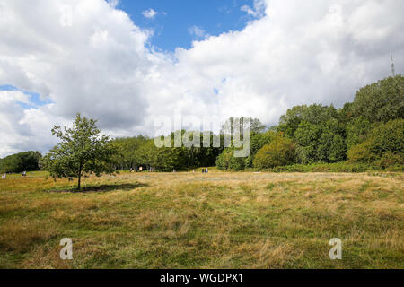 Londra, Regno Unito. 1 Sep, 2019. Una calda e soleggiata mattina del primo giorno di autunno meteorologico in Alexandra Palace parco nella zona nord di Londra. Credito: Dinendra Haria/SOPA Immagini/ZUMA filo/Alamy Live News Foto Stock