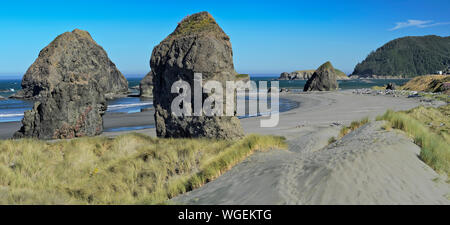 Pile di mare lungo la spiaggia di pistola River State Park vicino a Spiaggia d'oro, Oregon, parte della costa del Pacifico Scenic Byway, US 101 Foto Stock