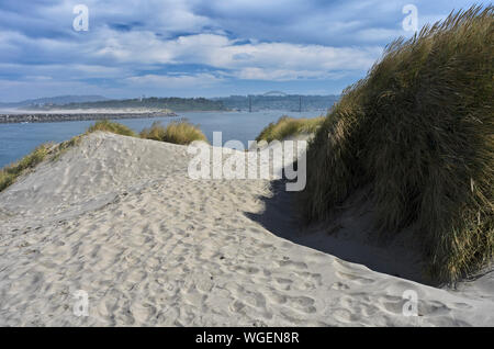 Vista sulle dune erbose per la spiaggia di South Beach State Park vicino a Newport, Oregon Foto Stock