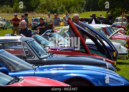 La folla godendo i classici sul prato car show a Delapre Abbey, Northamptonshire, Regno Unito Foto Stock