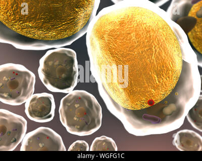 Campo di cellule di grasso, alta qualità 3D render di cellule di grasso, colesterolo nelle cellule Foto Stock