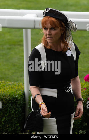IMMAGINI DEI FILE. 31 ottobre 2025. Sarah Ferguson non userà più il titolo di HRH la Duchessa di York. Ascot, Berkshire, Regno Unito, 23 giugno 2017. Sarah, duchessa di York indossa un vestito bianco e nero a Royal Ascot. Crediti: Maureen McLean/Alamy Foto Stock