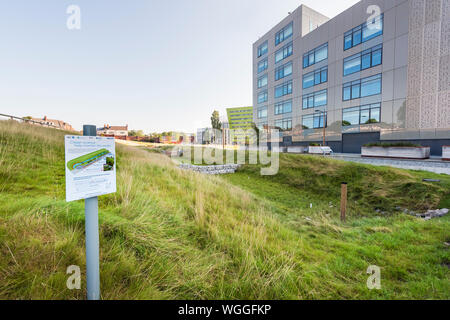 Swale parte del verde nazionale Infrastrutture a Newcastle Helix della Città della Scienza a Newcastle upon Tyne costruito da università di Newcastle Foto Stock
