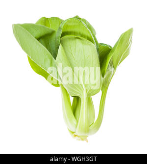 Il verde del cavolo cinese ( pak choi) Cavolo cinese isolati su sfondo bianco Foto Stock