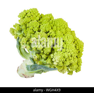 Freschi Broccolo romanesco isolati su sfondo bianco Foto Stock