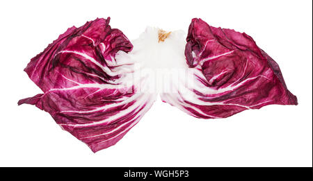 Unica foglia di radicchio italiano (cicoria a foglia) isolato su sfondo bianco Foto Stock