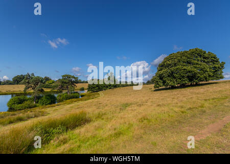 Il laghetto superiore a Petworth Park, West Sussex, Regno Unito Foto Stock