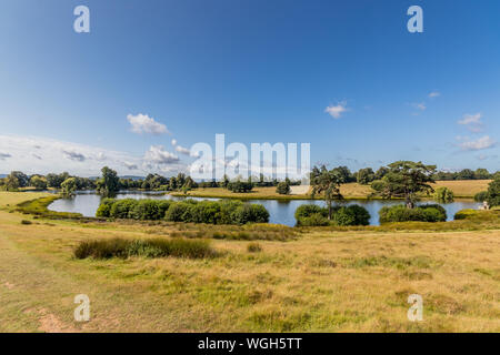 Il laghetto superiore a Petworth Park, West Sussex, Regno Unito Foto Stock