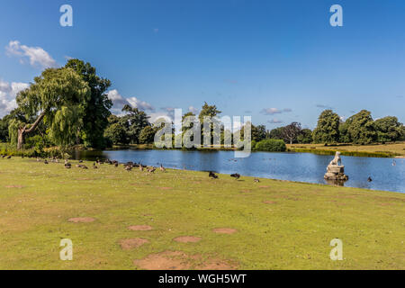 Il laghetto superiore a Petworth Park, West Sussex, Regno Unito Foto Stock