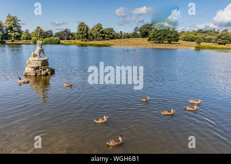 Il laghetto superiore a Petworth Park, West Sussex, Regno Unito Foto Stock