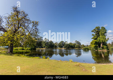 Il laghetto superiore a Petworth Park, West Sussex, Regno Unito Foto Stock