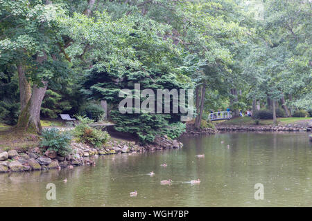 Palanga Parco Botanico stagno in estate il mezzogiorno con acqua in primo piano, Palanga, Lituania, Europa Foto Stock