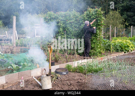 I vecchi man picking i baccelli su un riparto mentre derive del fumo attraverso da un giardino fire, England, Regno Unito Foto Stock