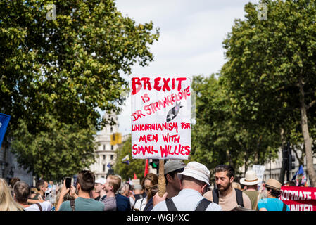 La protesta contro la sospensione del parlamento di Londra, Regno Unito, 31/08/2019 Foto Stock