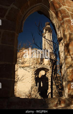 Cartuja de Aniago en Villanueva de Duero, Valladolid, Castilla y Leon, España Foto Stock