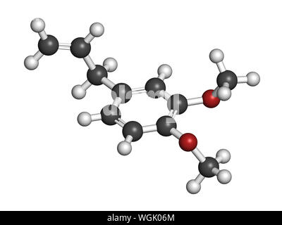 Metil eugenolo molecola. Il rendering 3D. Gli atomi sono rappresentati come sfere con i tradizionali colori: idrogeno (bianco), carbonio (grigio), Ossigeno (rosso). Foto Stock