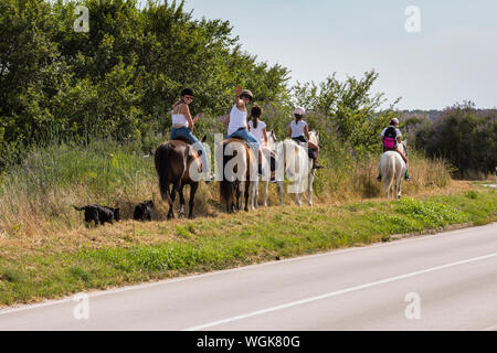 Un gruppo di turisti a cavallo con la strada vicino al Parco Naturale di Lago di Vrana in Croazia Foto Stock