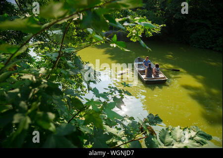 NEW YORK CITY - Agosto 21, 2017: giovani turisti fila una barca in brillanti acque verdi di Central Park Lake, trovato contenere nocivi delle alghe tossiche. Foto Stock