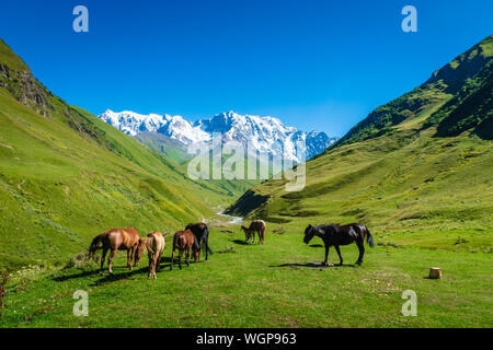 Ushguli paesaggio con il Monte Shkhara nel retro nella regione di Svaneti, Georgia. Foto Stock