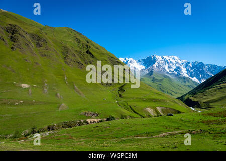 Ushguli paesaggio con il Monte Shkhara nel retro nella regione di Svaneti, Georgia. Foto Stock