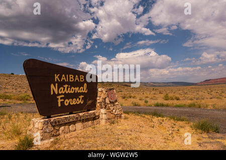 Vernice gialla su marrone legno dipinto segna la terra allinterno Kaibab National Forest Foto Stock