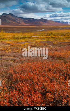 In autunno il Brooks Range, Dalton Highway, Alaska. Foto Stock