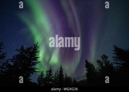 Luci del nord, noto anche come aurora boreale, Wiseman, Alaska Foto Stock