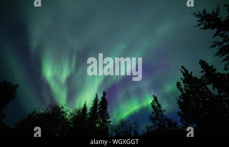 Luci del nord, noto anche come aurora boreale, Wiseman, Alaska Foto Stock