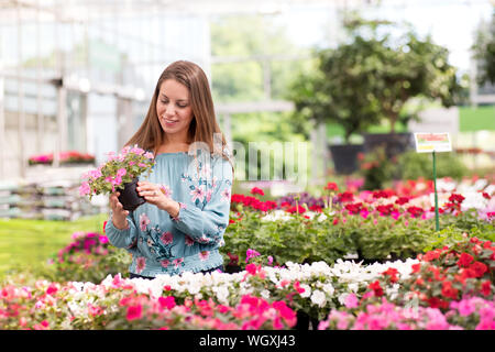 Piuttosto sorridente giovane donna scelta di vasi di piante fiorite di acquistare in un grande vivaio tenendo un vaso di fiori di colore rosa in mano Foto Stock